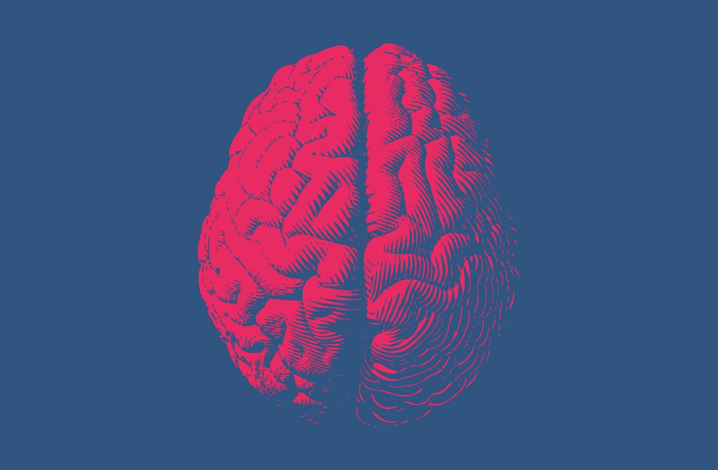 A pink, stylized illustration of a human brain viewed from above, set against a solid blue background.